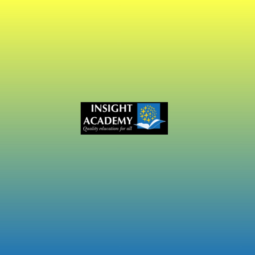 insight academy