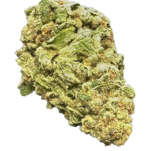 A Guide to Cannabis Chocolates in Cambridge – Dankhub Delivery