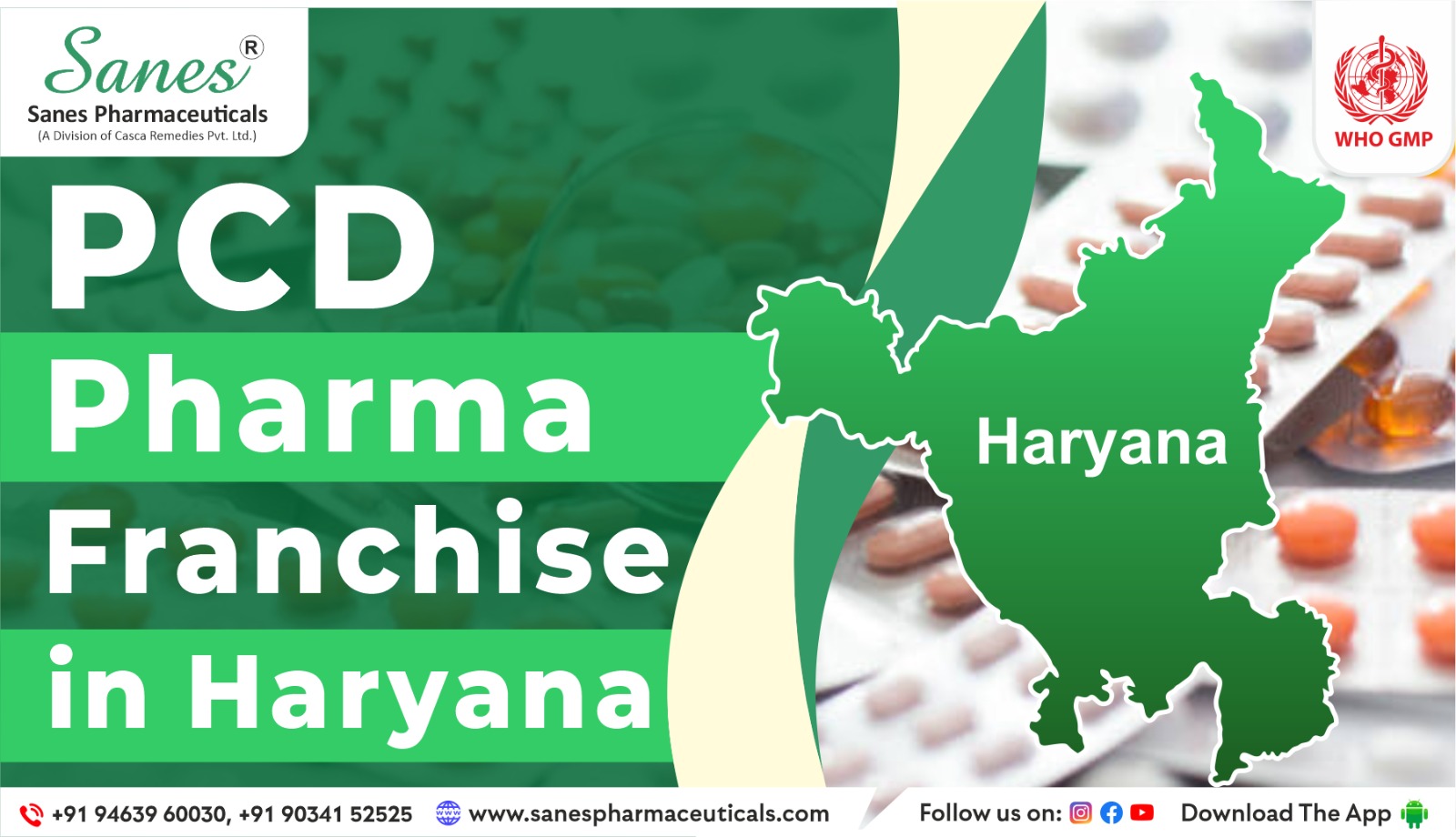 Branded PCD pharma franchise in Haryana