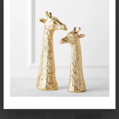 Jirafa Profile Picture