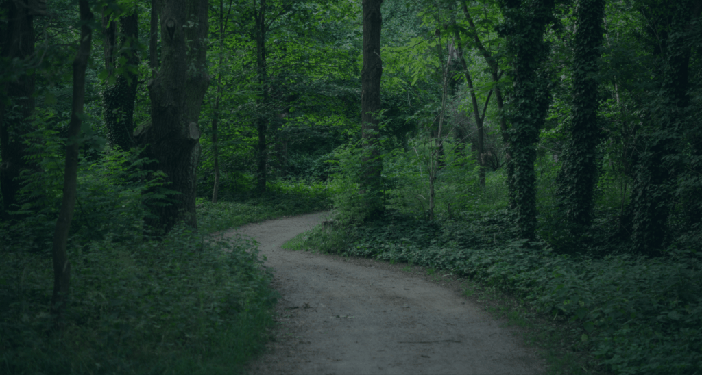 Online Relationship Counseling Charlottesville VA for Couples