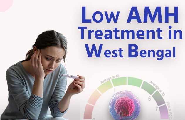 Low Amh Treatment in West Bengal