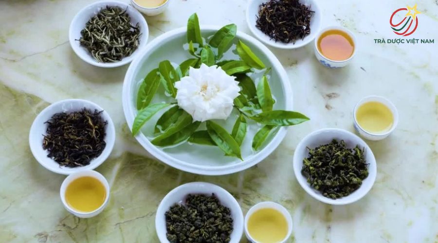 Top 15 loại trà tốt cho sức khỏe bạn nên uống mỗi ngày