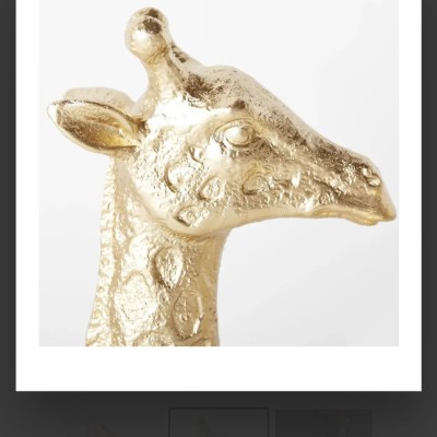 Jirafa Profile Picture