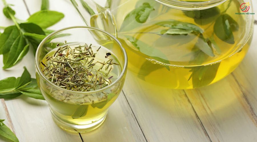 Top 10 loại trà giúp ngủ ngon và giảm stress hiệu quả