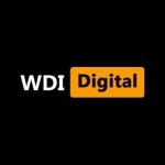 websitedeveloperindia