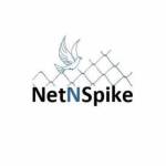 Net n Spike