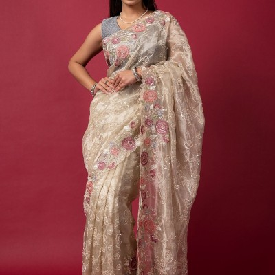 cream Tissue organza fancy sequins handwork saree Profile Picture