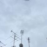 MetroTV Antenna